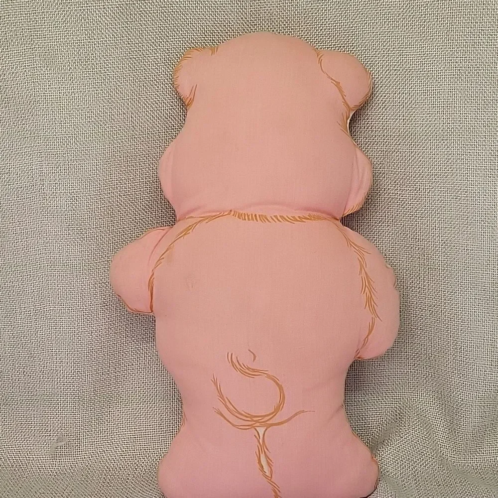 Care Bear costume/pj's 3T-4T vintage stuffed cloth bear books and Dvd 4 Figures‎